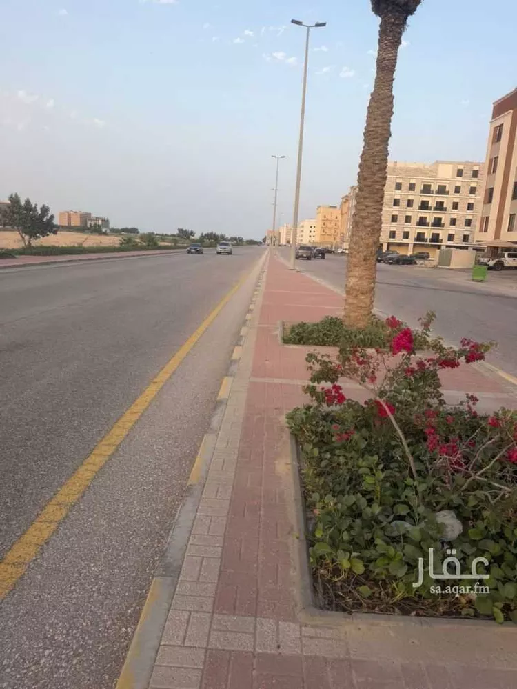 Land for Rent in Al Khobar Al Hamra صورة 3