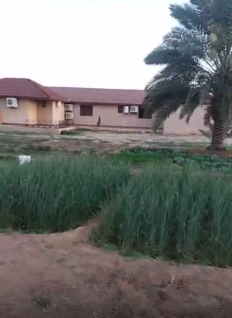 مزرعة للبيع في شارع دقله187, حي دقله, مدينة دقله, منطقة الرياض صورة 5