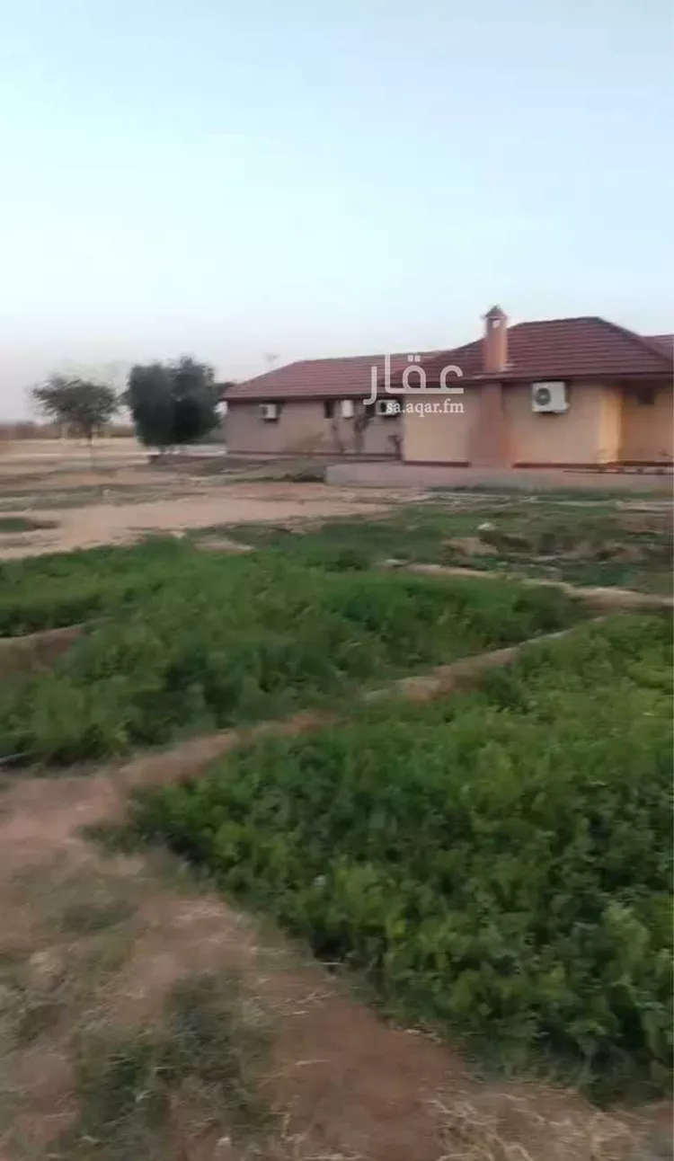 مزرعة للبيع في شارع دقله187, حي دقله, مدينة دقله, منطقة الرياض صورة 2