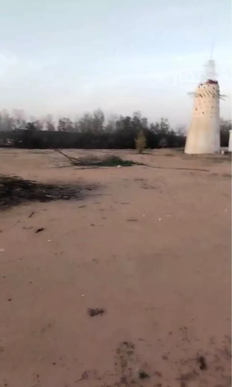 مزرعة للبيع في شارع دقله187, حي دقله, مدينة دقله, منطقة الرياض صورة 3