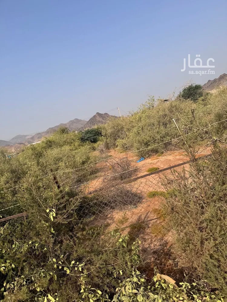 أرض للبيع في مدينة عسفان, منطقة مكة المكرمة صورة 4