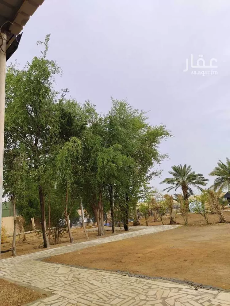 Farm for Sale in Al Muzahimiyah Al Ulaya صورة 4