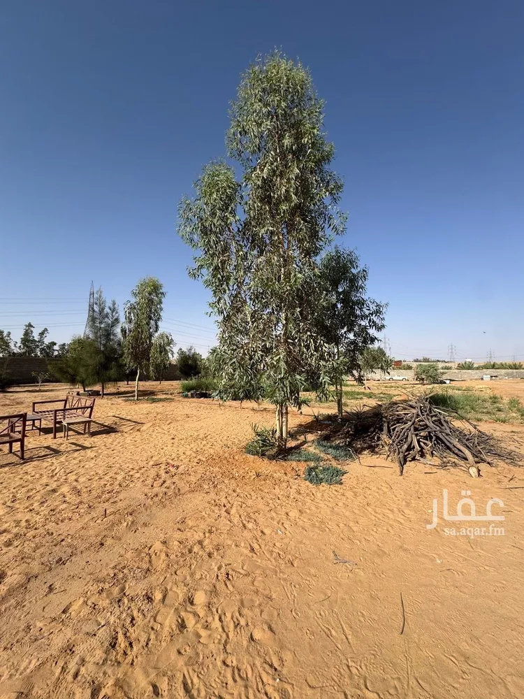 استراحة للإيجار في مدينة بريدة, منطقة القصيم صورة 3