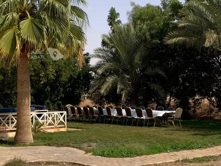 مزرعة للبيع في شارع الملك فهد باتجاه جنوب , حي مزارع العبله, مدينة مزارع العبله, منطقة الرياض 17