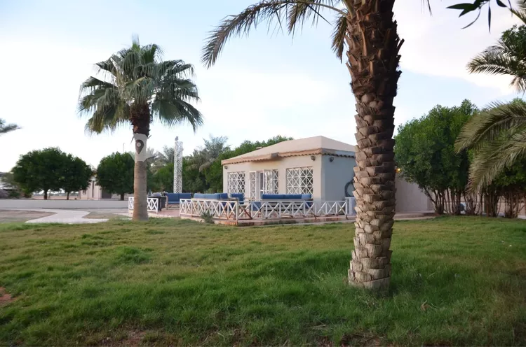 مزرعة للبيع في شارع الملك فهد باتجاه جنوب , حي مزارع العبله, مدينة مزارع العبله, منطقة الرياض 12