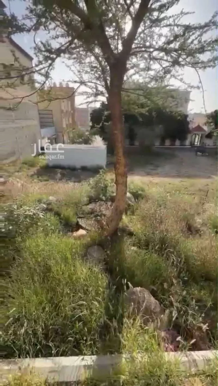 Land for Sale in Ahad Rufaidah Al Nahdah صورة 2