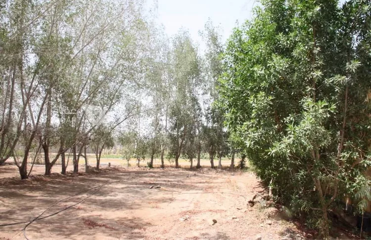 Farm for rent in Al Jumum Al Kheef 2