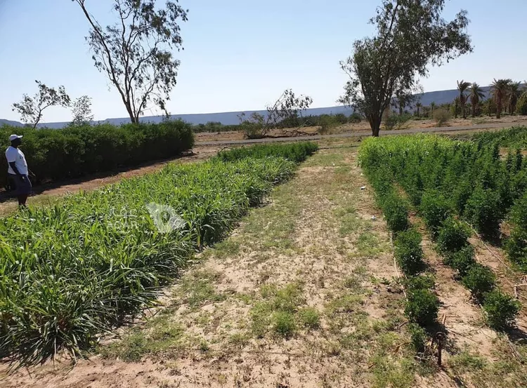 Farm for rent in Al Jumum Al Kheef