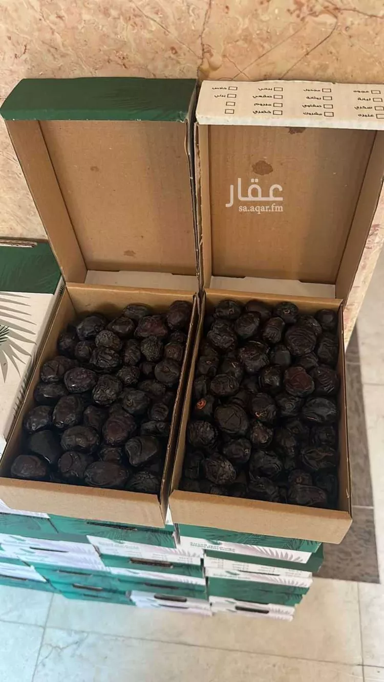 مزرعة للبيع في شارع ضواحي 17 ، البوير ، منطقة المدينة المنورة صورة 3