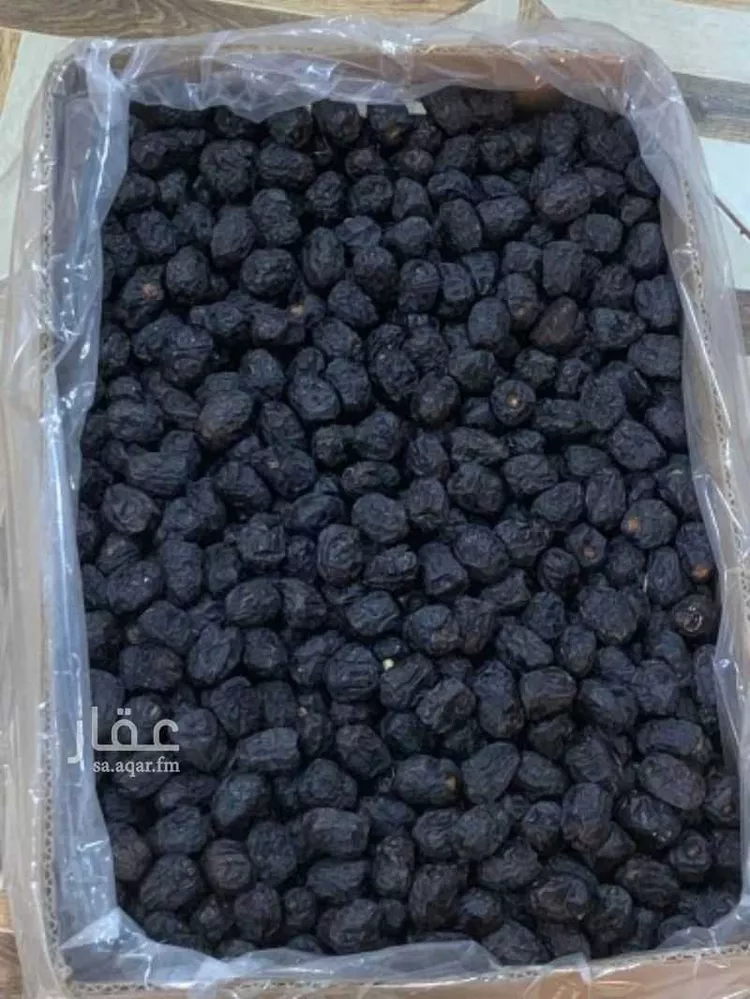 مزرعة للبيع في شارع ضواحي 17 ، البوير ، منطقة المدينة المنورة