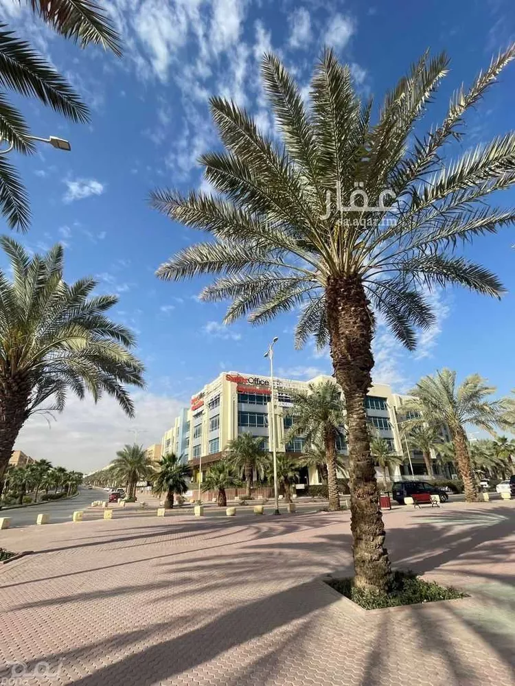 مكتب تجاري للإيجار في شارع صيدا, حي الدريهمية, مدينة الرياض, منطقة الرياض صورة 2