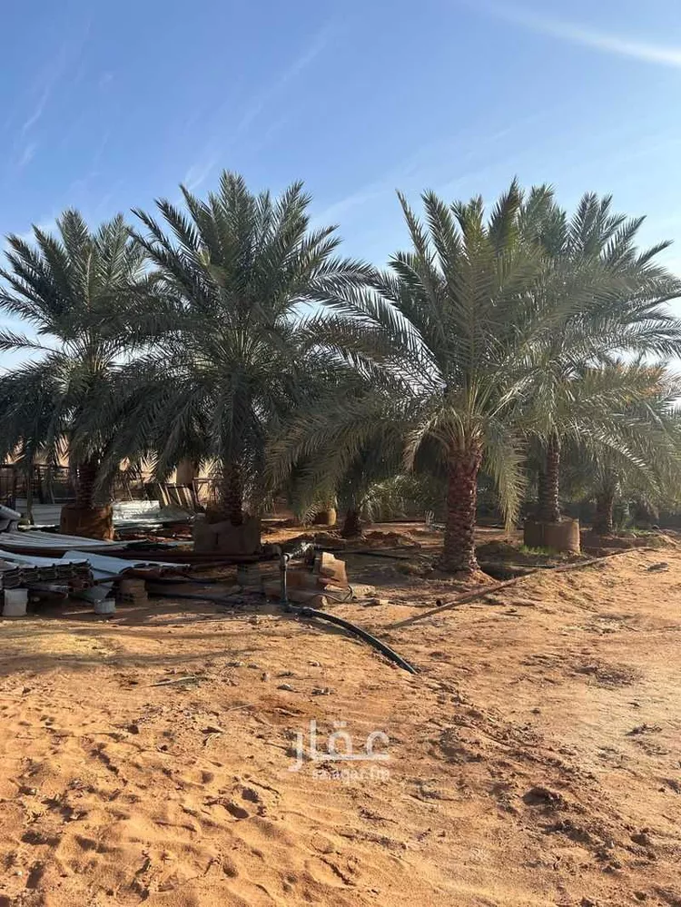 مزرعة للبيع في حي المشاعله, مدينة المشاعله, منطقة الرياض صورة 4