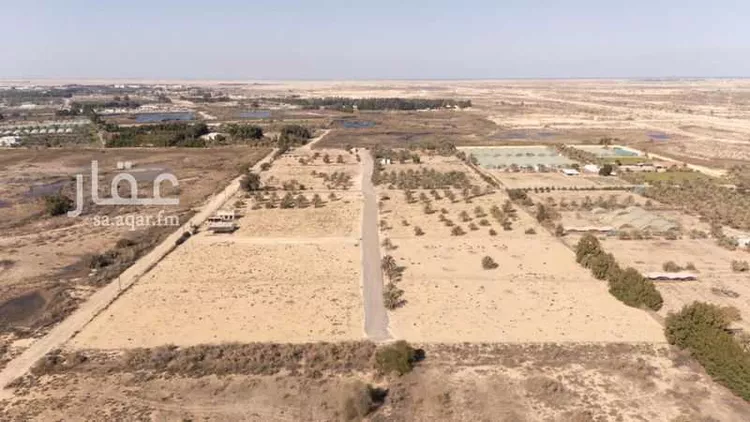 Land for Sale in Safwa Al Masif