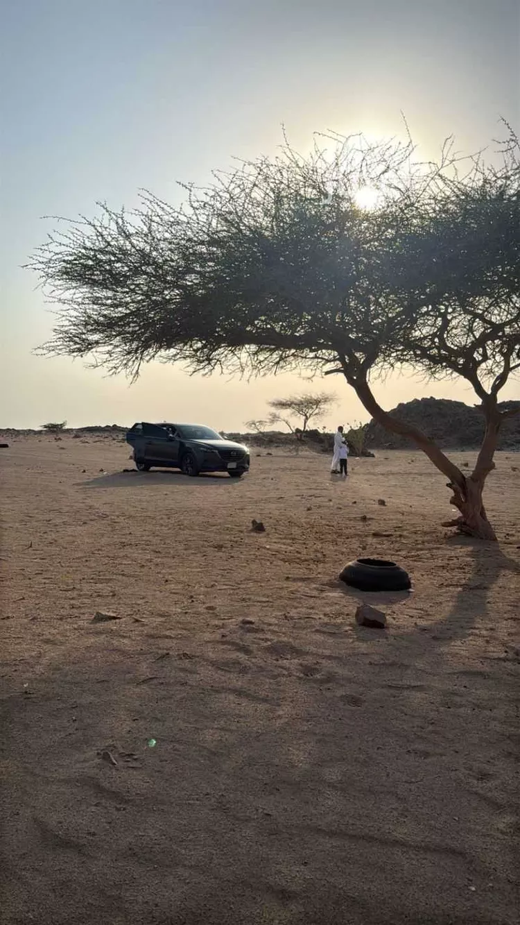 أرض للبيع في القنفذة