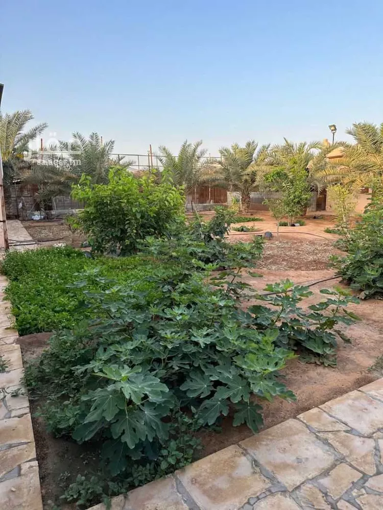 استراحة للبيع في شارع الهرماس ابن زياد ، ضرما ، ضرما