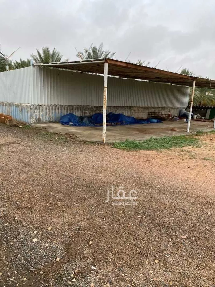 مزرعة للبيع في مدينة حائل, منطقة حائل صورة 3
