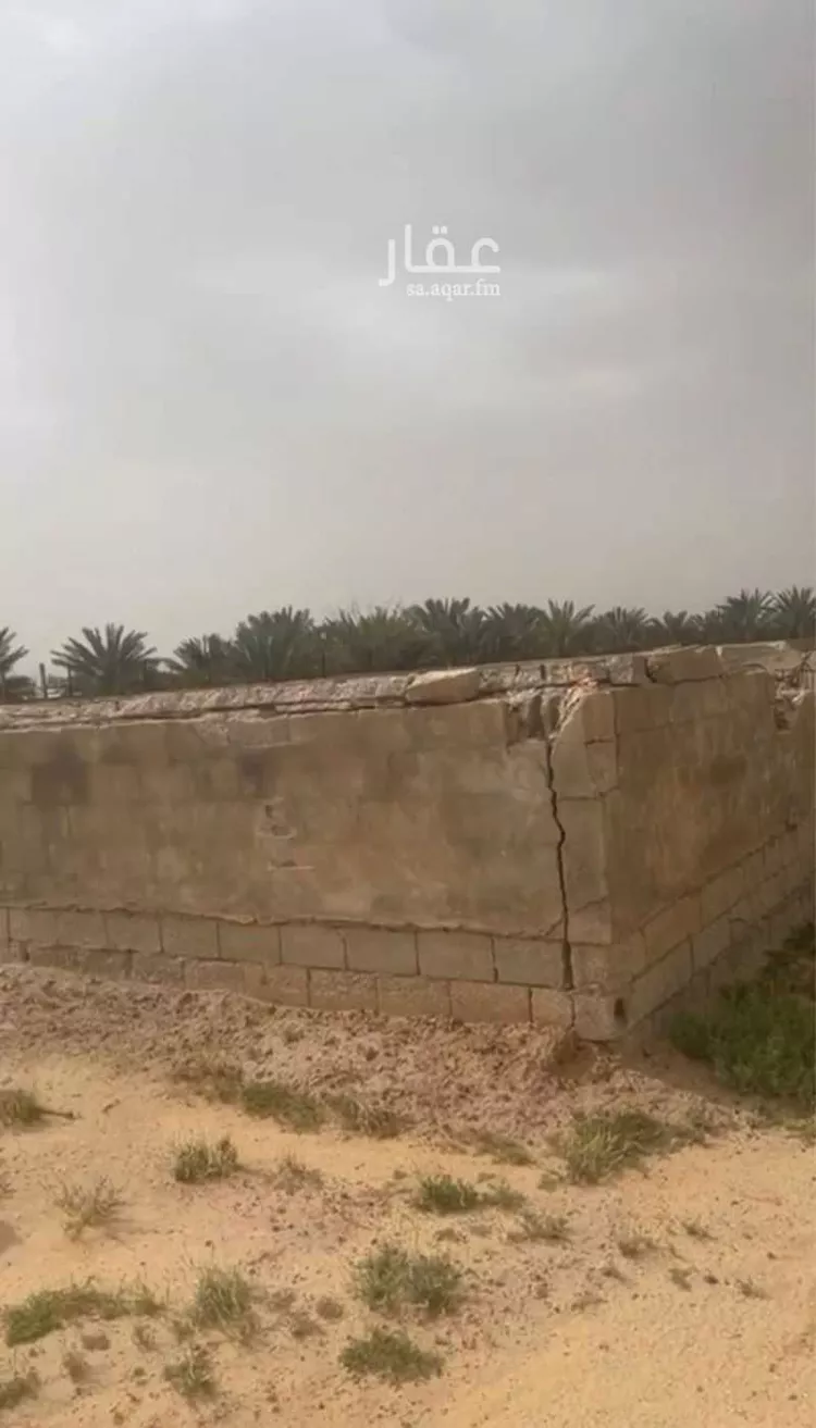 أرض للإيجار في شارع الشقة 517 ، حي الشقة ، بريدة ، بريدة صورة 2