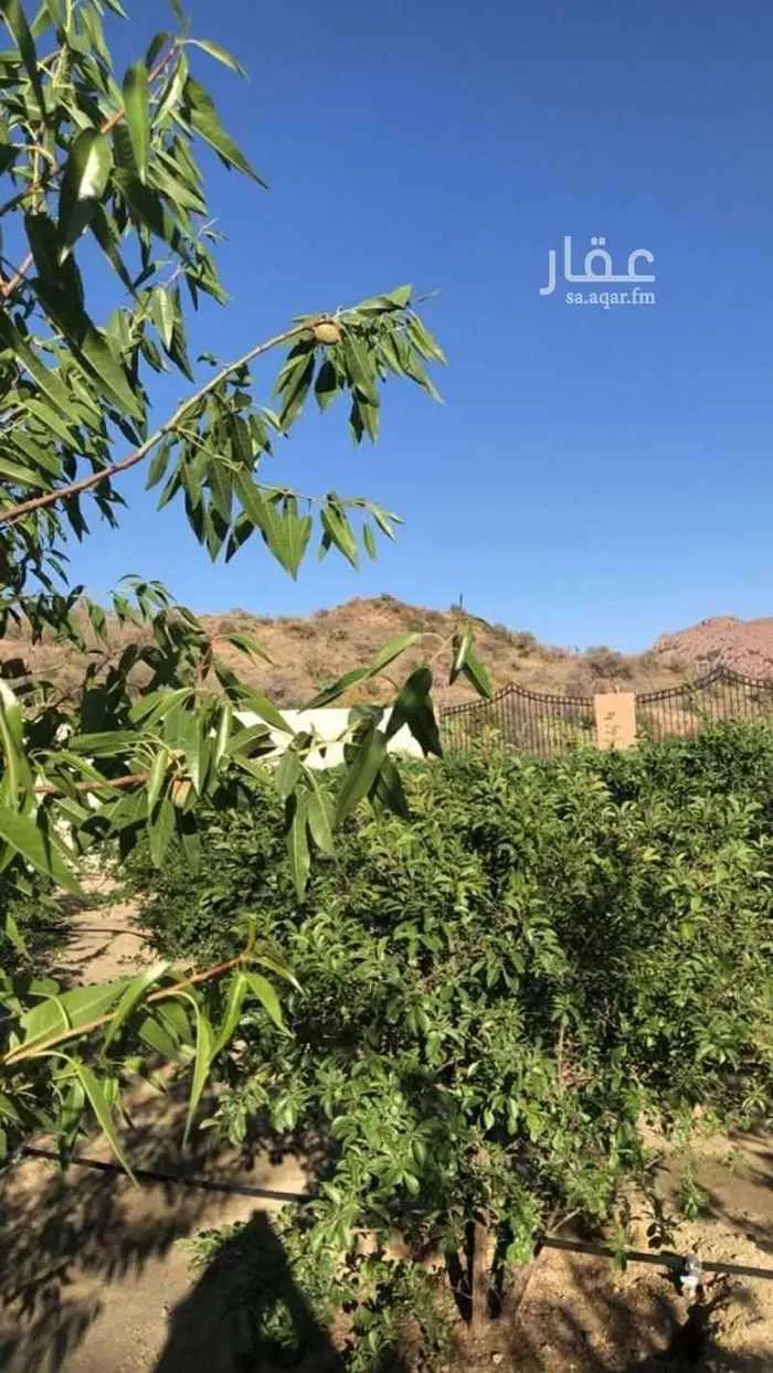 Villa for Rent in Taif Al Wakf صورة 2