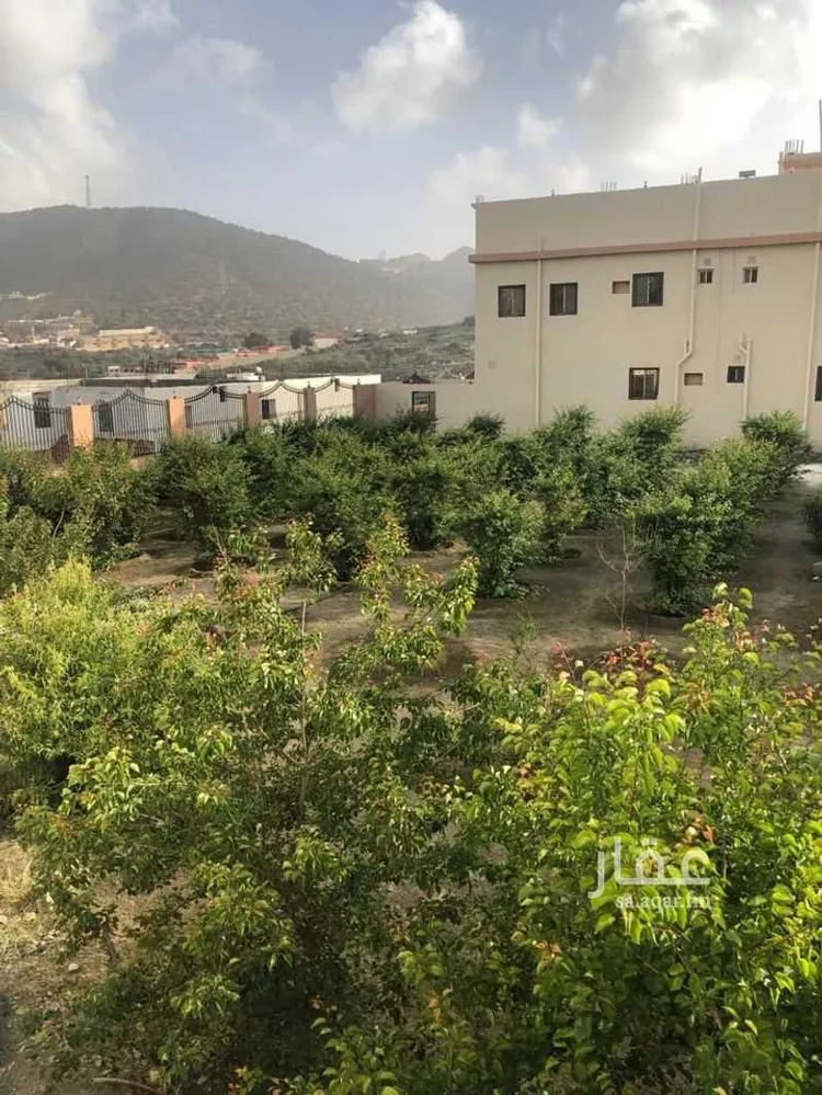 Villa for Rent in Taif Al Wakf صورة 3