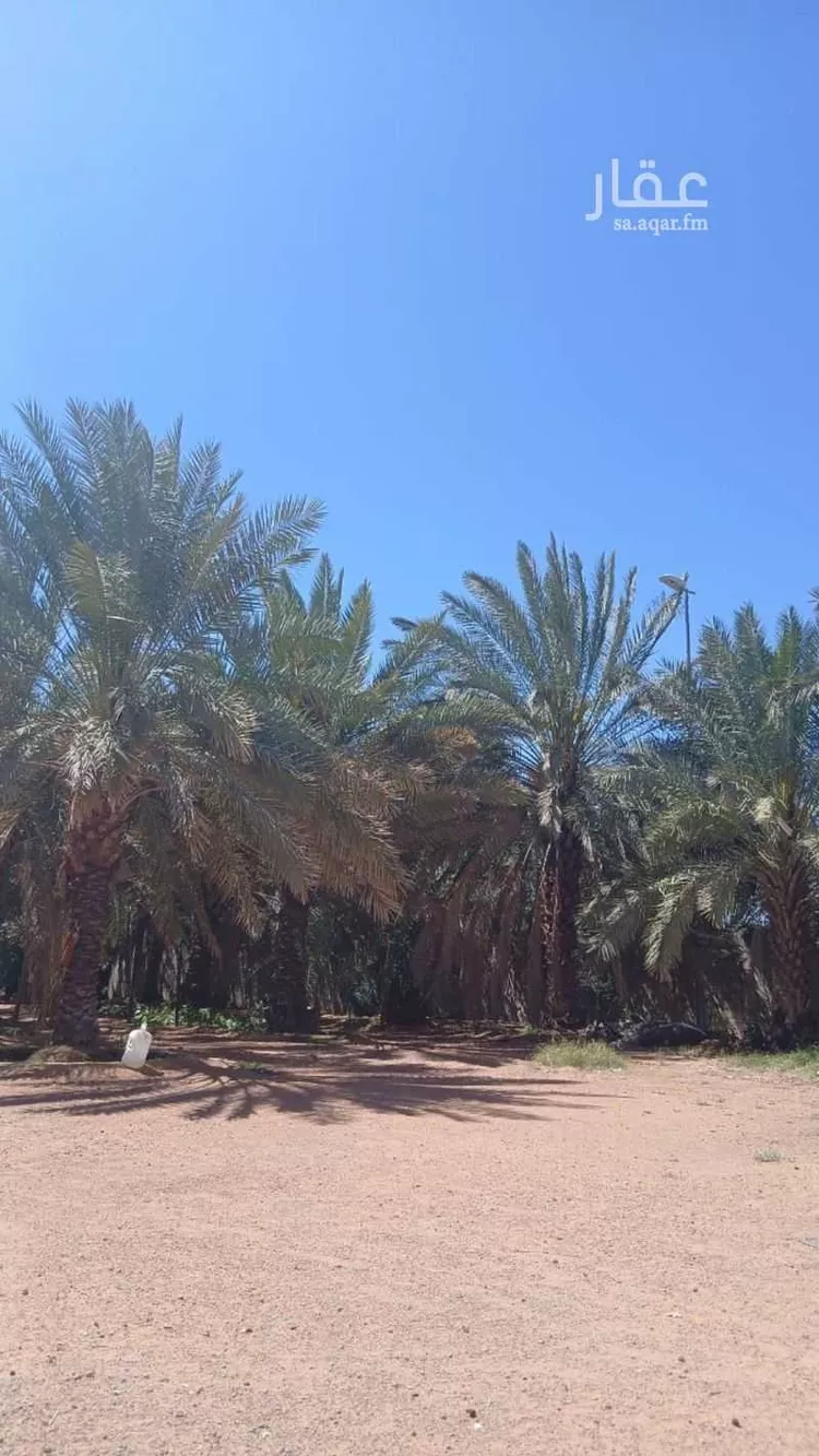 مزرعة للبيع في شارع عثمر القديم 341, حي منيفة القاعد, مدينة منيفة القاعد, منطقة حائل