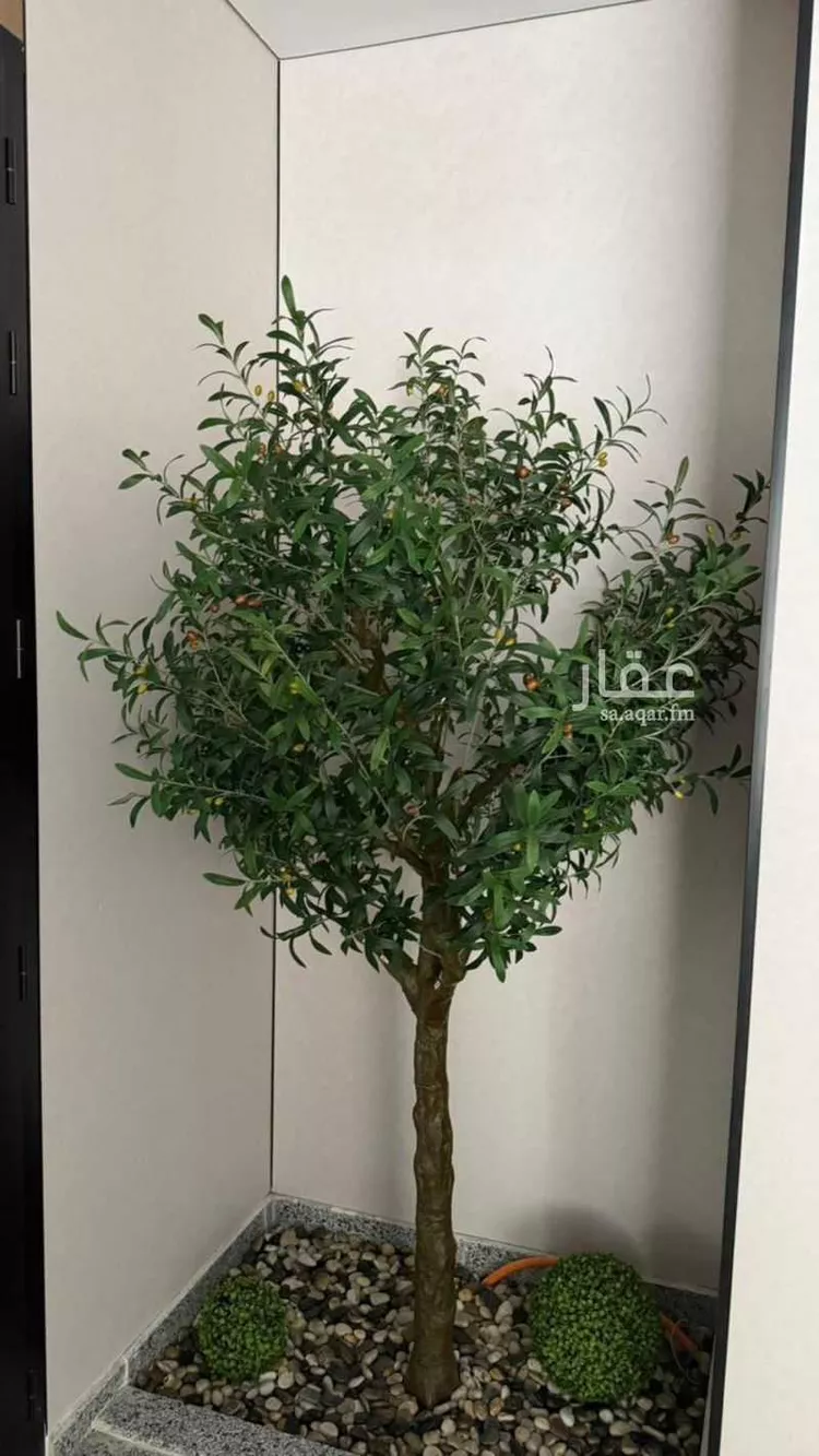 شقة للبيع في شارع خلف بن حيان, حي الصفاء, مدينة جدة, منطقة مكة المكرمة صورة 3