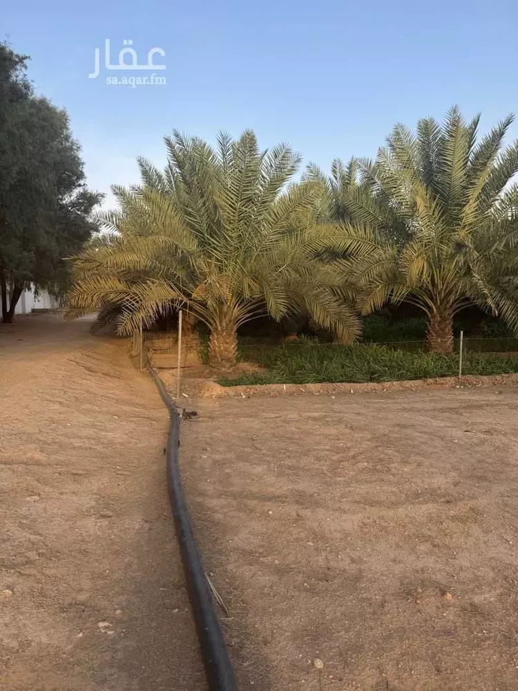 مزرعة للبيع في شارع جو 446, مدينة ضرما, منطقة الرياض 9