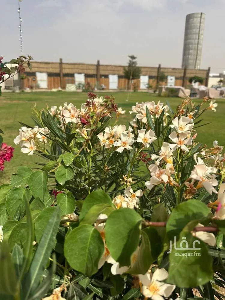 استراحة للبيع في شارع 155, حي الحزم والبطينه, مدينة الحزم والبطينه, منطقة الرياض صورة 5