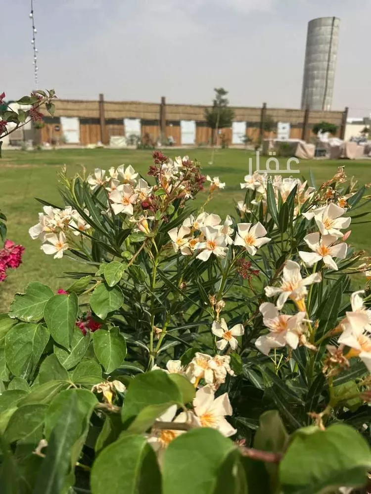 استراحة للبيع في شارع 155, حي الحزم والبطينه, مدينة الحزم والبطينه, منطقة الرياض صورة 2