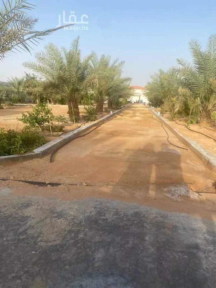 أرض للبيع في شارع شارع 20, حي الحزم والبطينه, مدينة الحزم والبطينه, منطقة الرياض صورة 5