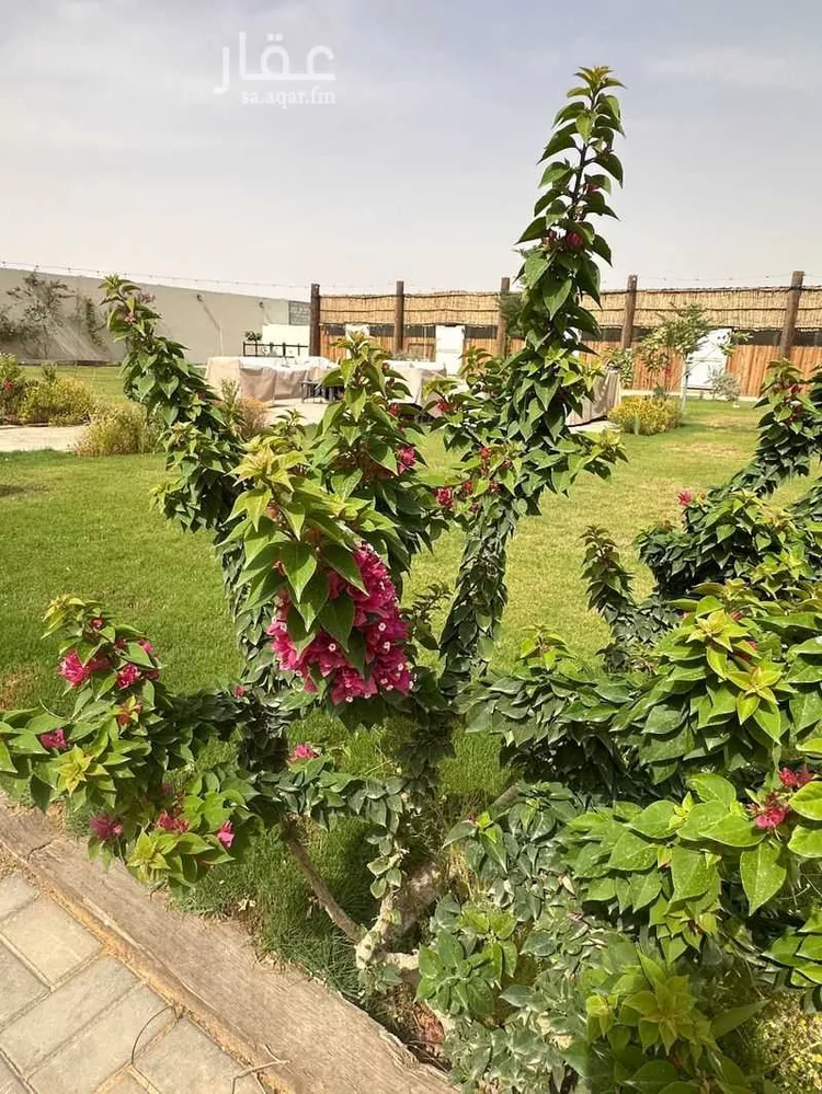 استراحة للبيع في شارع 155, حي الحزم والبطينه, مدينة الحزم والبطينه, منطقة الرياض 11