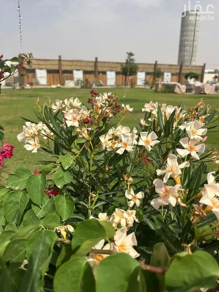 استراحة للبيع في شارع 155, حي الحزم والبطينه, مدينة الحزم والبطينه, منطقة الرياض 8