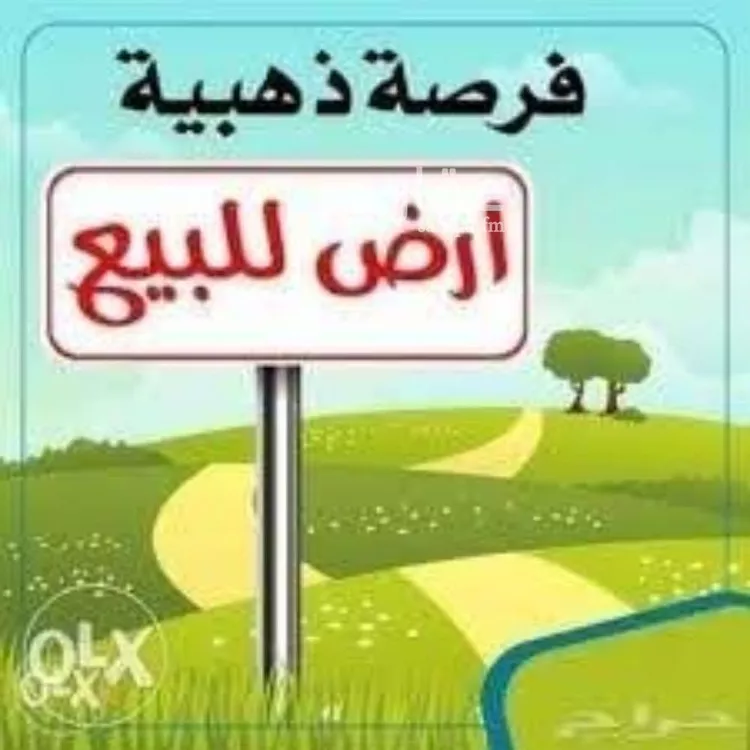 أرض للبيع في شارع رقم 546, حي النرجس, مدينة الرياض, منطقة الرياض صورة 2