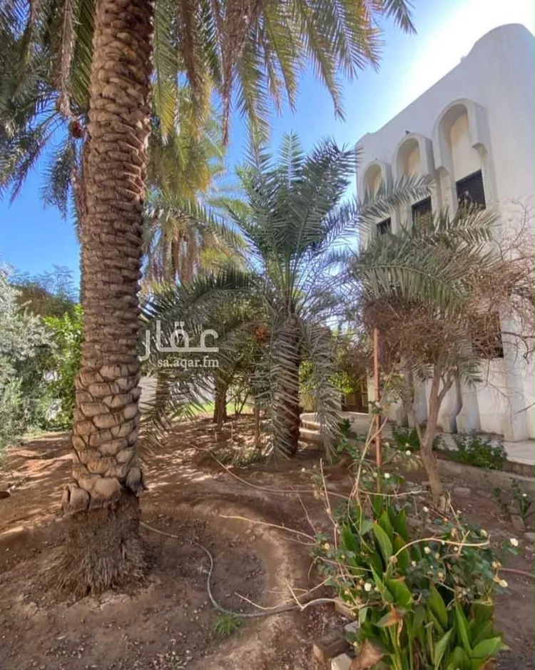 أرض للبيع في شارع الخليفة, حي الفيصلية الجنوبية, مدينة تبوك, منطقة تبوك 6