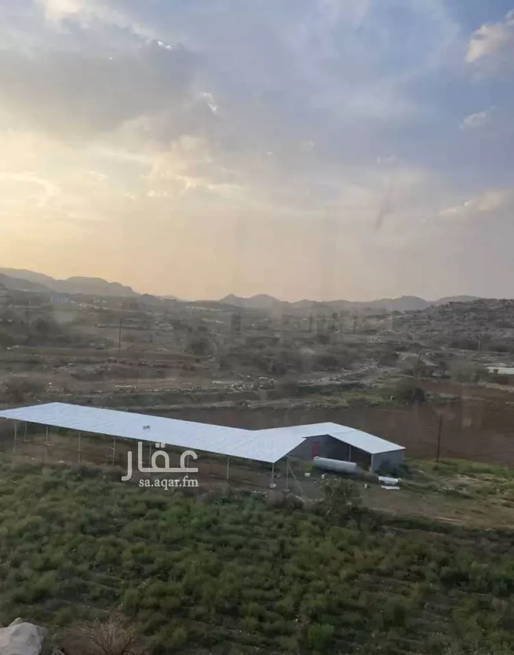Farm for rent in Ahad Rufaidah Az Zuhur