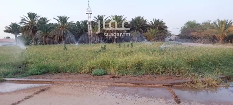 مزرعة للبيع في شارع المباركة, حي العفجه, مدينة الخرج, منطقة الرياض صورة 4