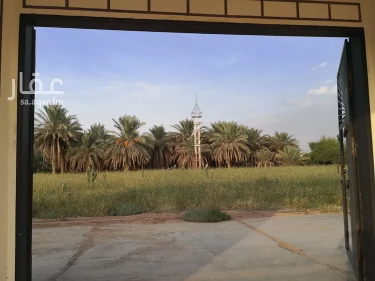 مزرعة للبيع في شارع المباركة, حي العفجه, مدينة الخرج, منطقة الرياض صورة 2