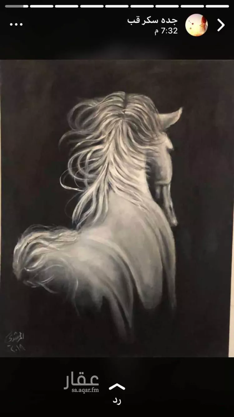 أرض للبيع في شارع وادى بن هشبل 1290 ، ال بي ثور ، خميس مشيط