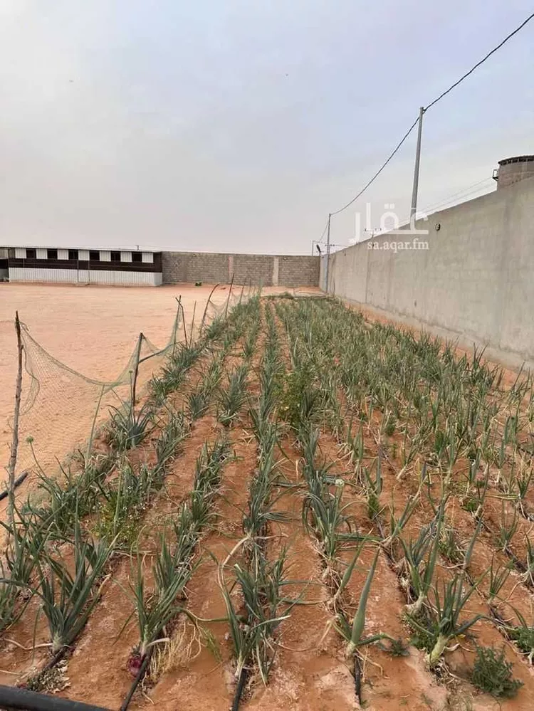 أرض للإيجار في حي الرفايع, مدينة الخرج, منطقة الرياض