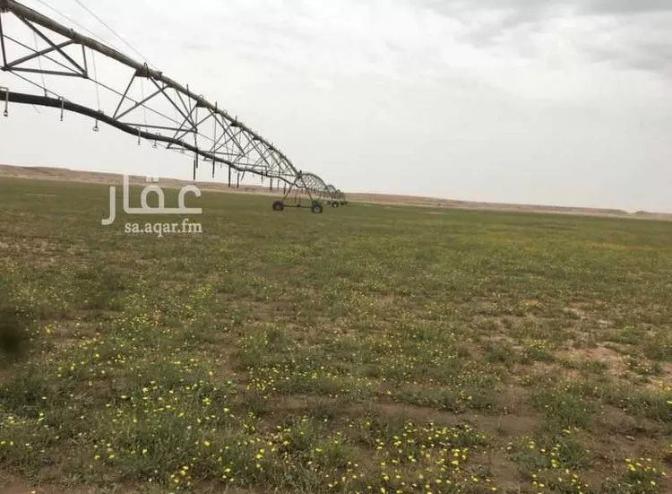 مزرعة للإيجار في المملكة العربية السعودية