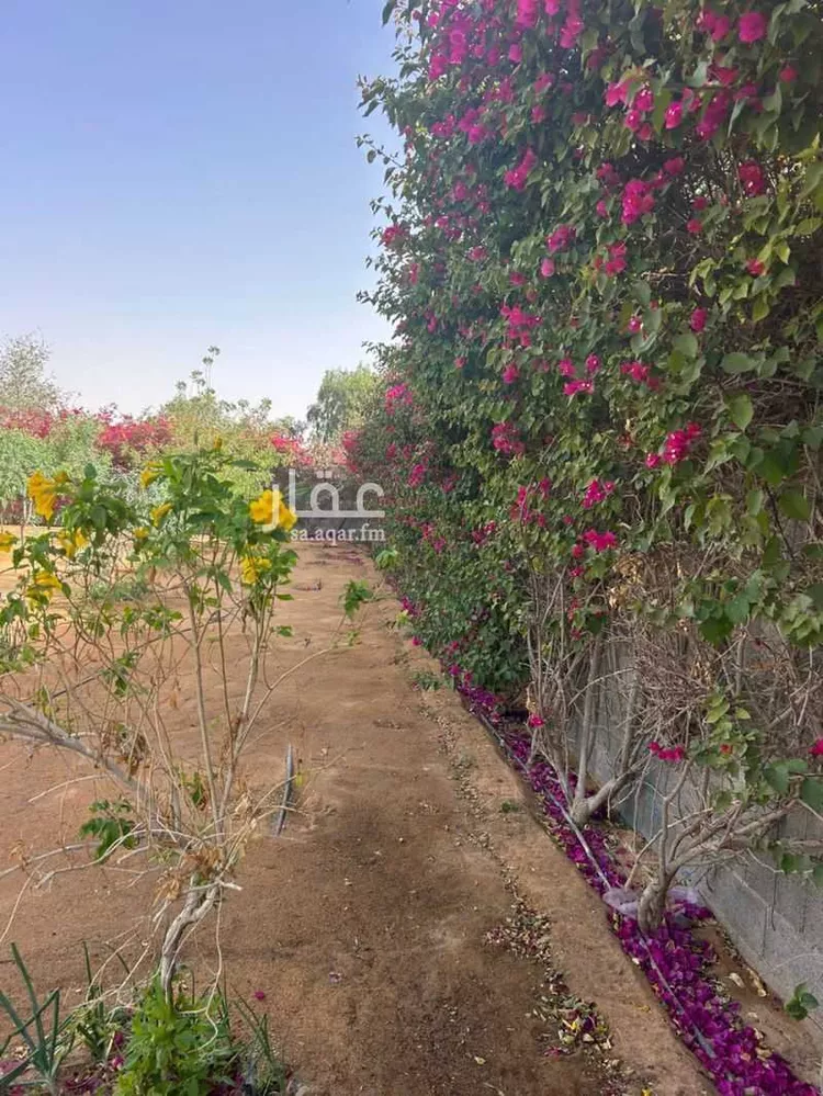Farm for Sale in Thadiq Ad Deerah Al Kadimah صورة 2