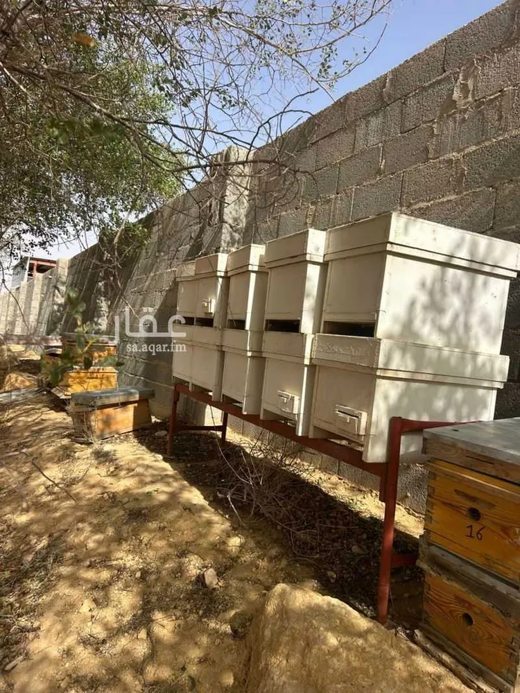 Farm for Sale in Thadiq Ad Deerah Al Kadimah صورة 3