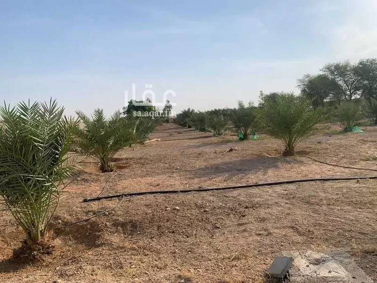 Land for Sale in Thadiq Al Janadriyah صورة 2