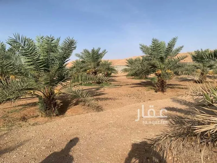 أرض للبيع في شارع مجمع بن جاريه, مدينة حريملاء, منطقة الرياض 12