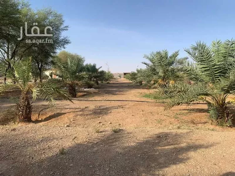 أرض للبيع في شارع مجمع بن جاريه, مدينة حريملاء, منطقة الرياض 17