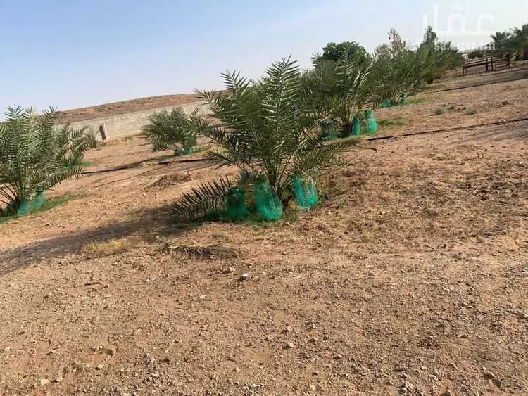 أرض للبيع في شارع مجمع بن جاريه, مدينة حريملاء, منطقة الرياض 16