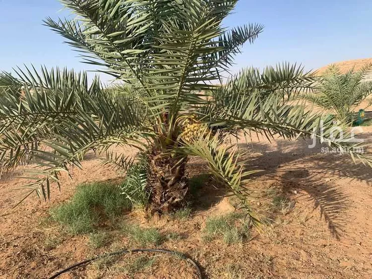 أرض للبيع في شارع مجمع بن جاريه, مدينة حريملاء, منطقة الرياض 15