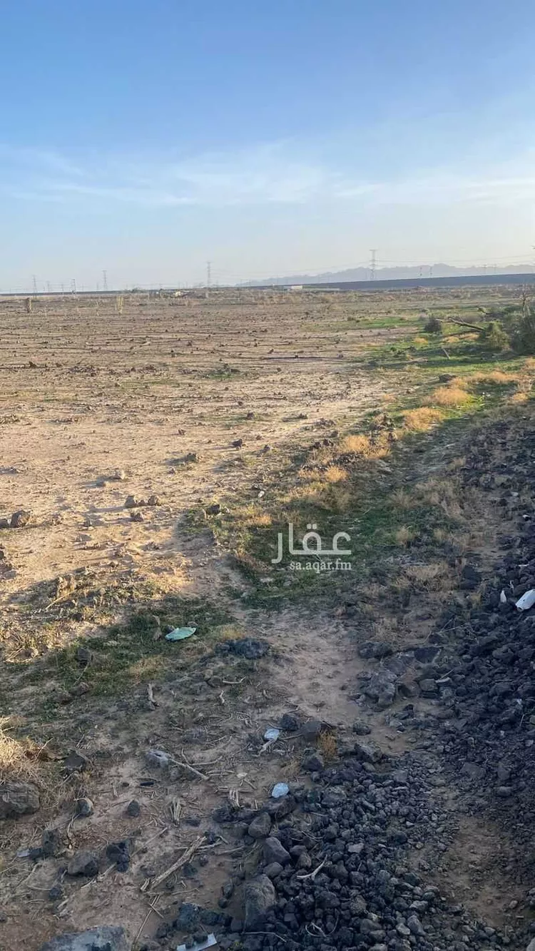 مزرعة للبيع في شارع ابار الماشي 905, حي ابيار الماشي, مدينة المدينة المنورة, منطقة المدينة المنورة صورة 2