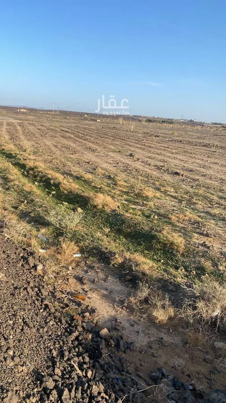 مزرعة للبيع في شارع ابار الماشي 905, حي ابيار الماشي, مدينة المدينة المنورة, منطقة المدينة المنورة صورة 3
