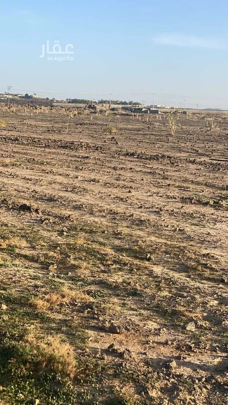Farm for Sale in Medina Al Jassah