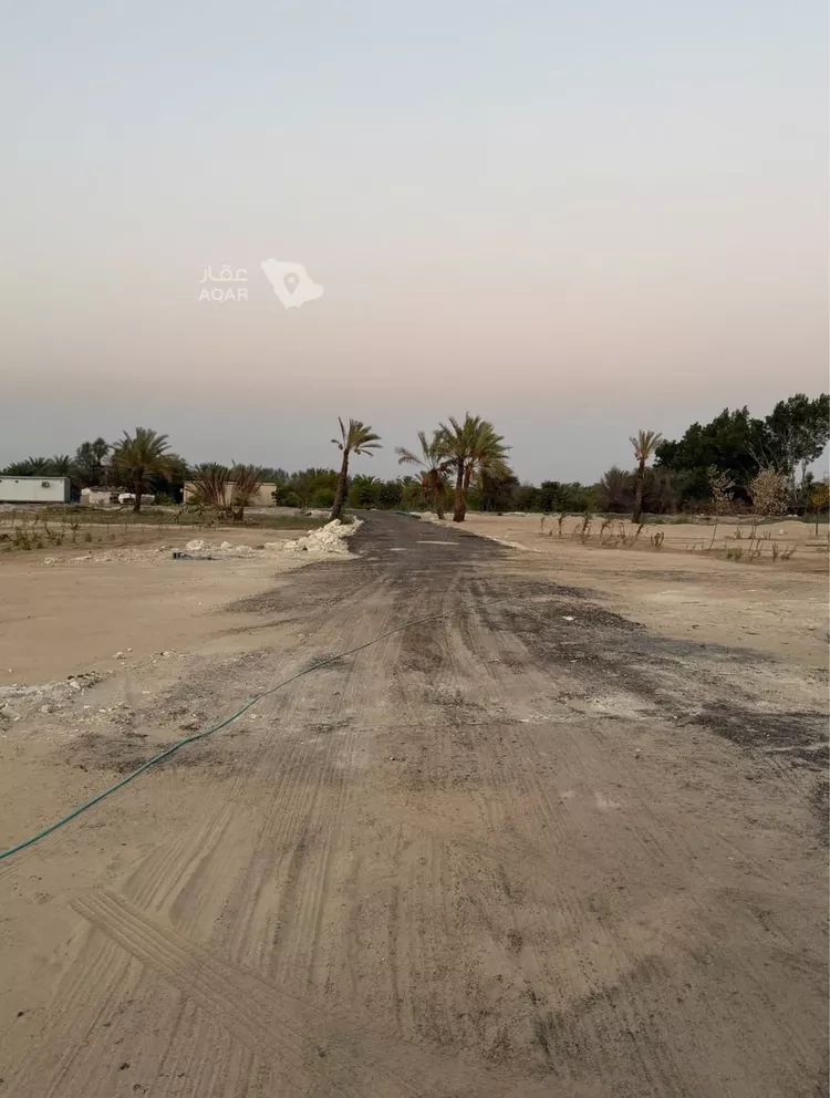 أرض للبيع في شارع الرويحه 980, حي الرويحة, مدينة القطيف, المنطقة الشرقية 3